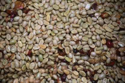 Colombie - Finca El Origen Commerce Direct / Espresso
