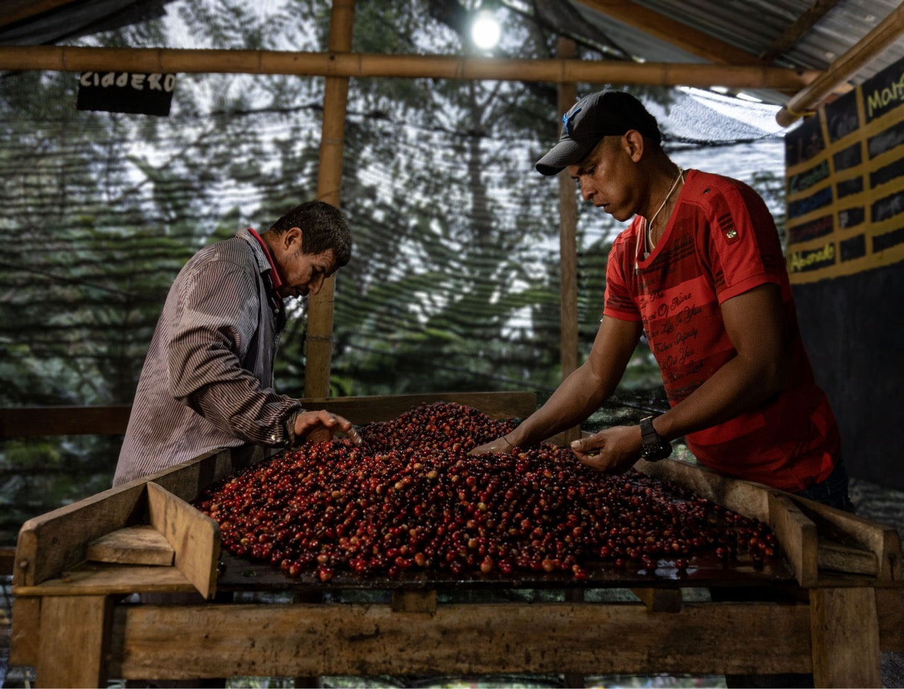 Colombie - Finca El Origen Commerce Direct / Espresso