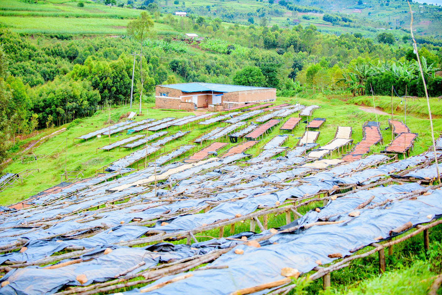 Rwanda - Café moulu Mbizi Women BIO / Expresso