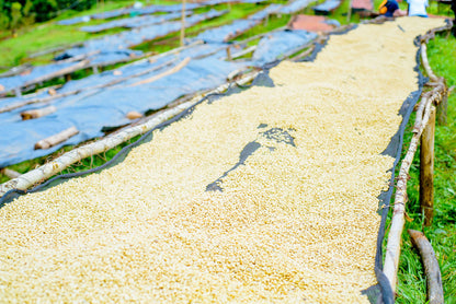 Rwanda - Café moulu Mbizi Women BIO / Expresso