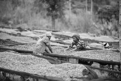Rwanda - Café moulu Mbizi Women BIO / Expresso