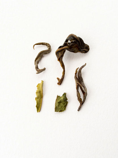 Darjeeling Giddapahar - Thé noir