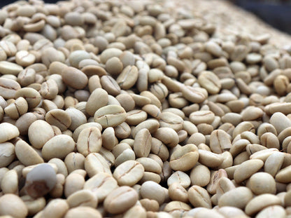 Kenya - AA Eegaads / Café filtre