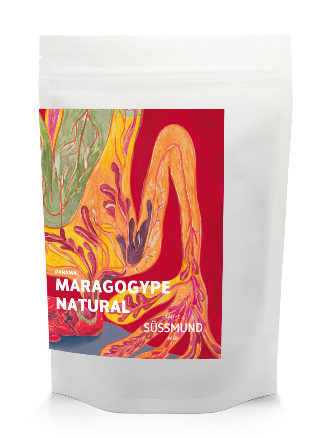 Panama - Maragogype
