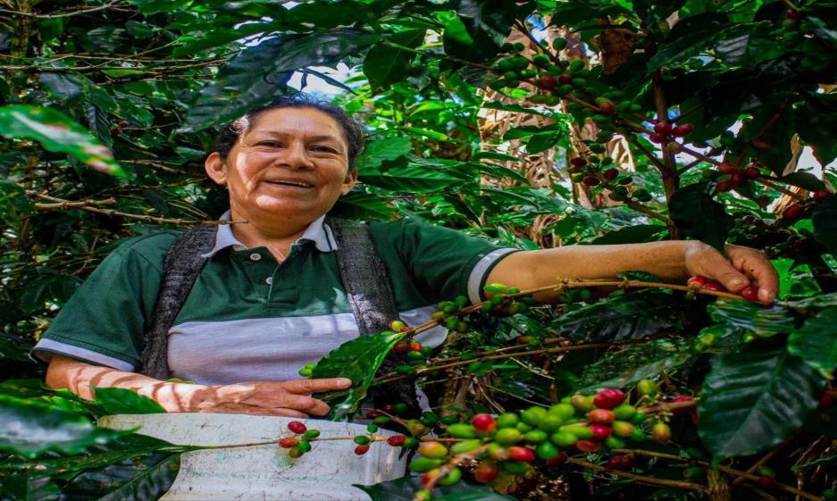 Mujeres Fuertes BIO / Espresso